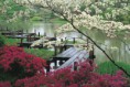 /album/fotogalerie/japanese-garden-jjennings-design-jpg/